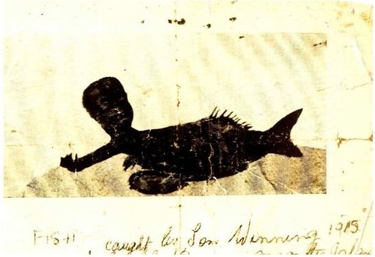 Fish with odd human semblance caught in 1915